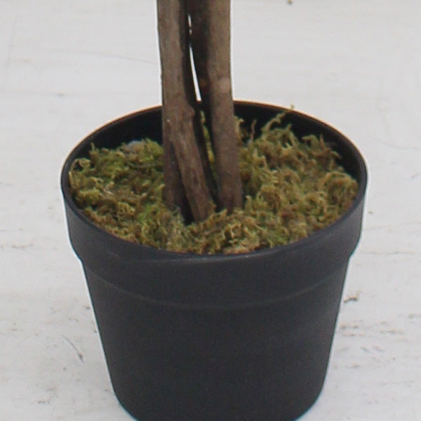 Tall Lifelike Potted Tree (Online Exclusive)
