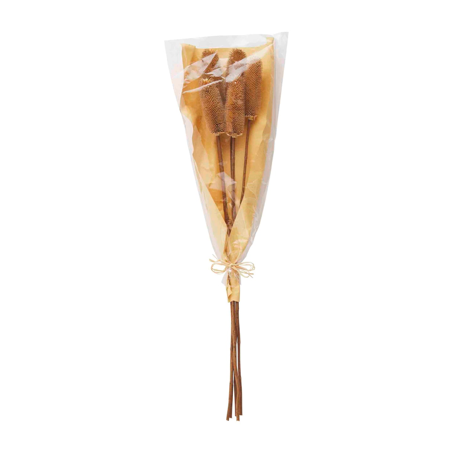 NATURAL THISTLE STEM BUNDLE