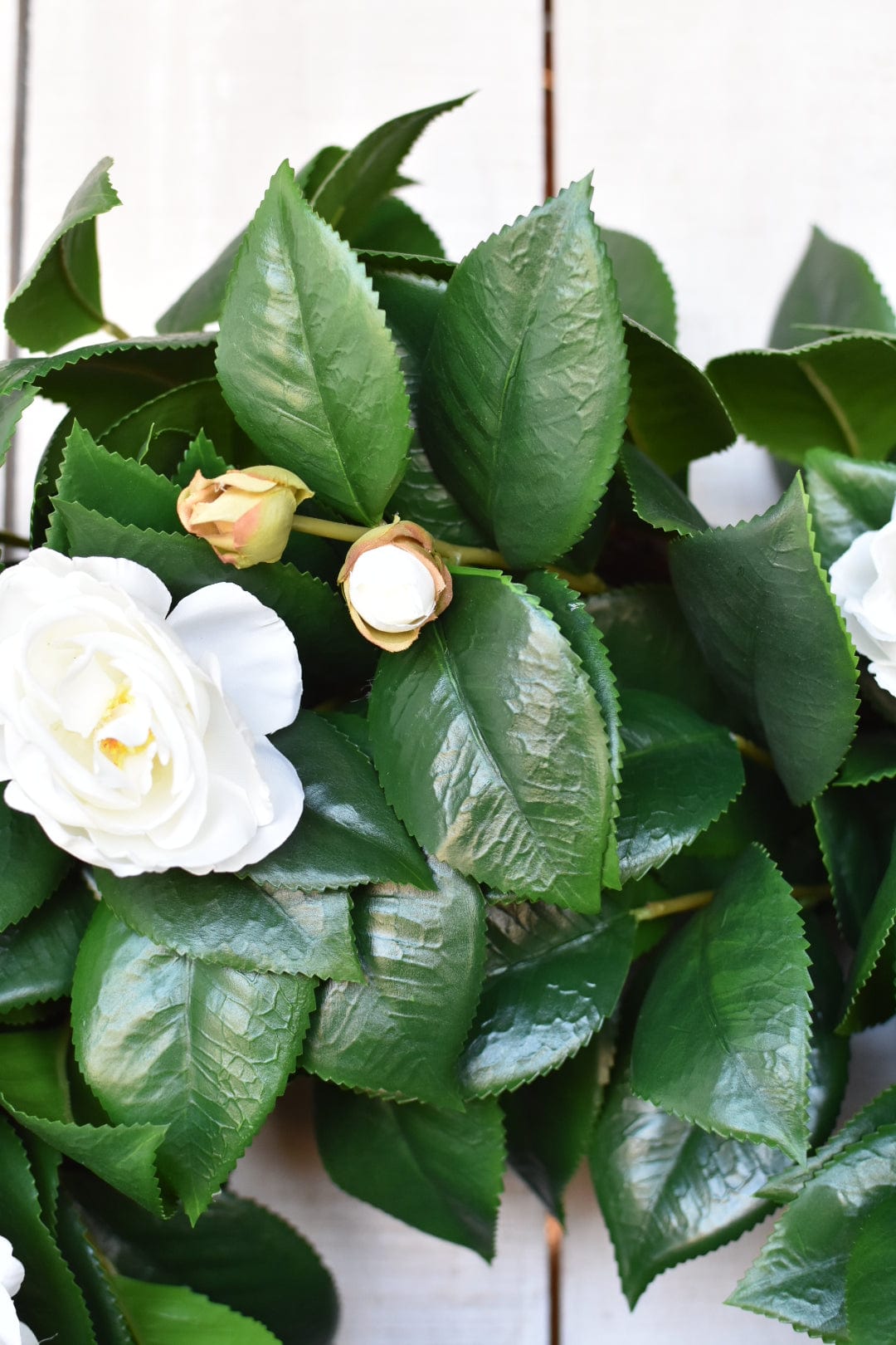 26" Faux White Camellia with Foliage Wreath (Online Exclusive)