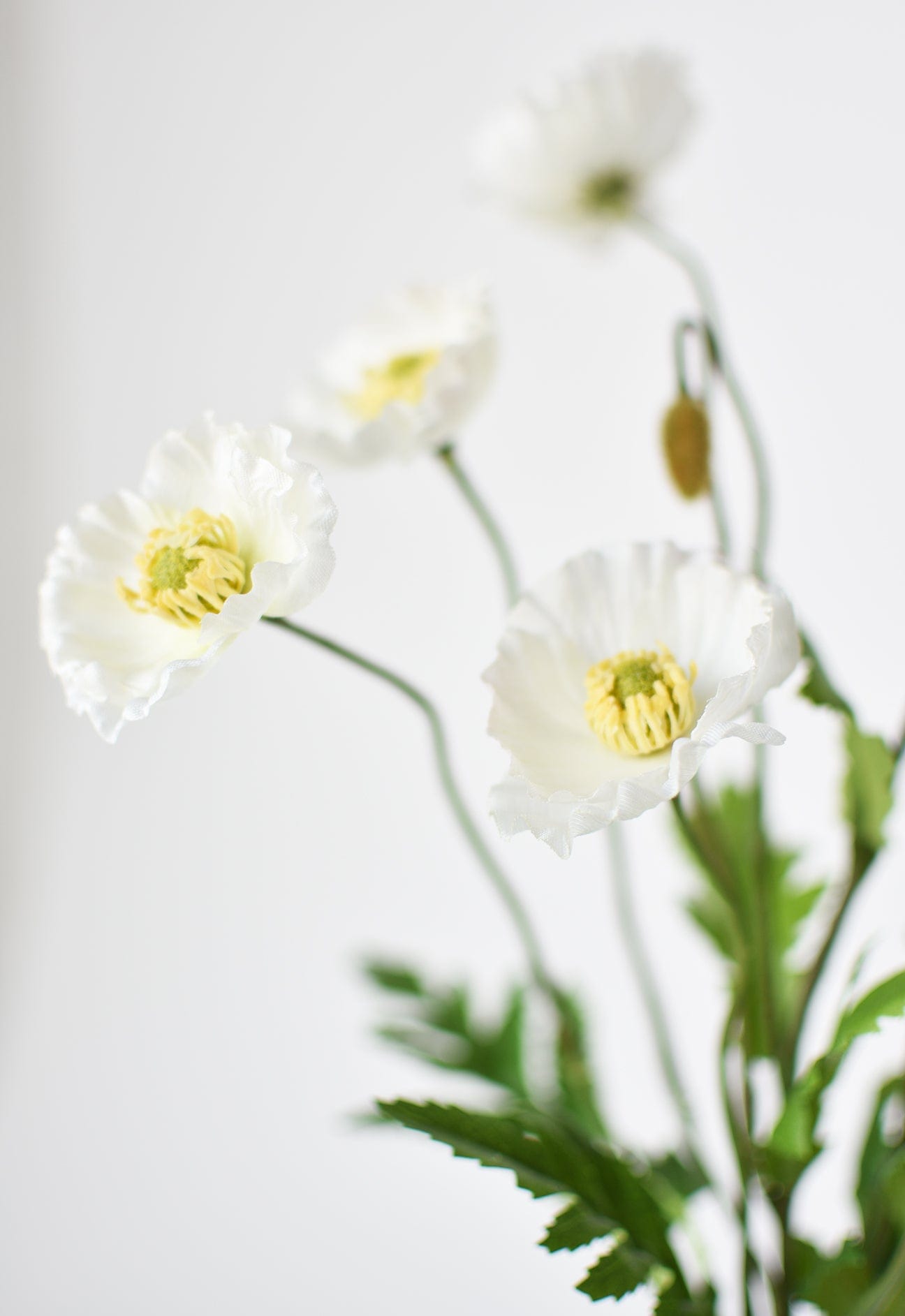 15" Faux Poppy Bush White Bush (Online exclusive)