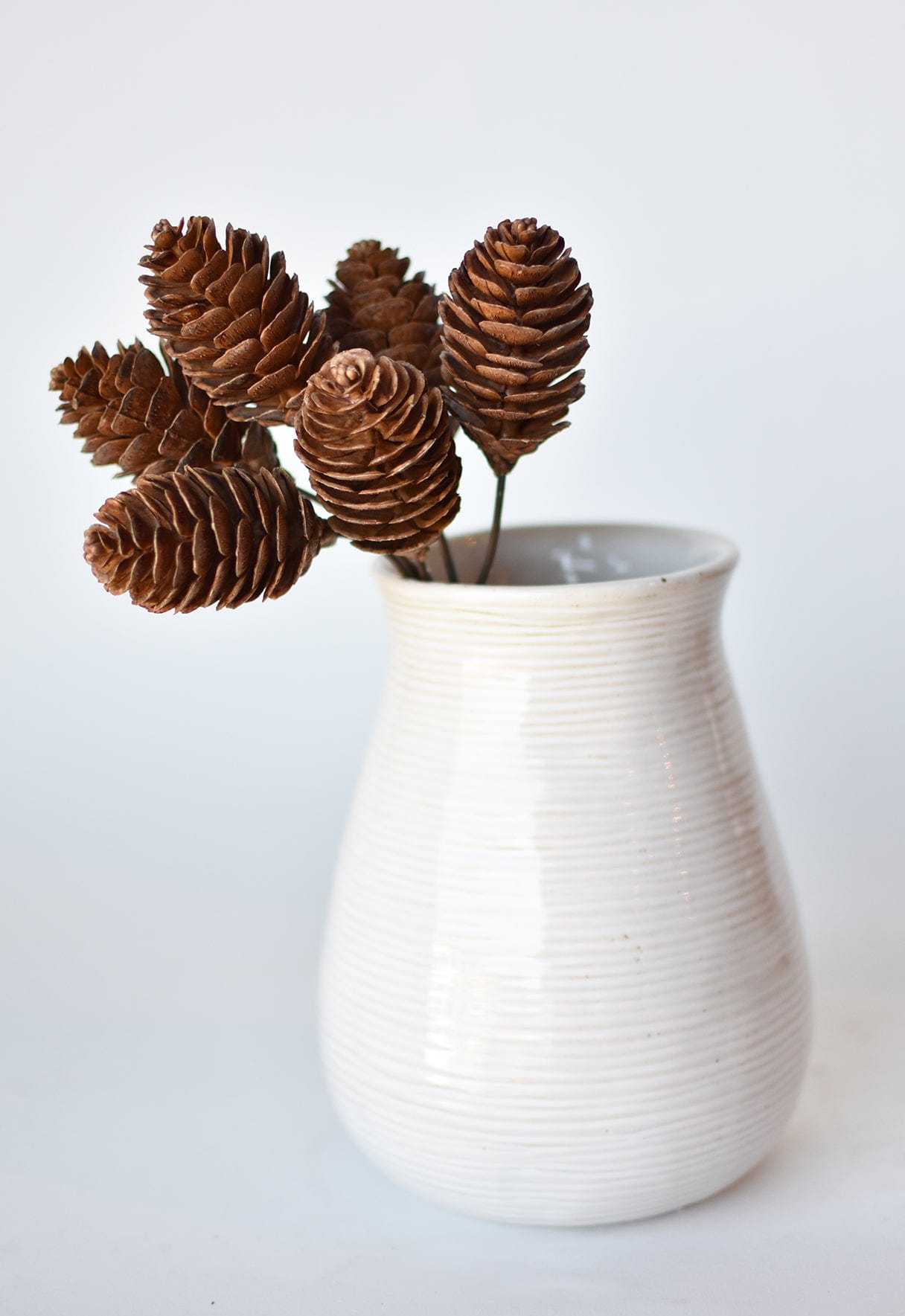 10" Faux Pinecone Stem Bundle (Online exclusive)