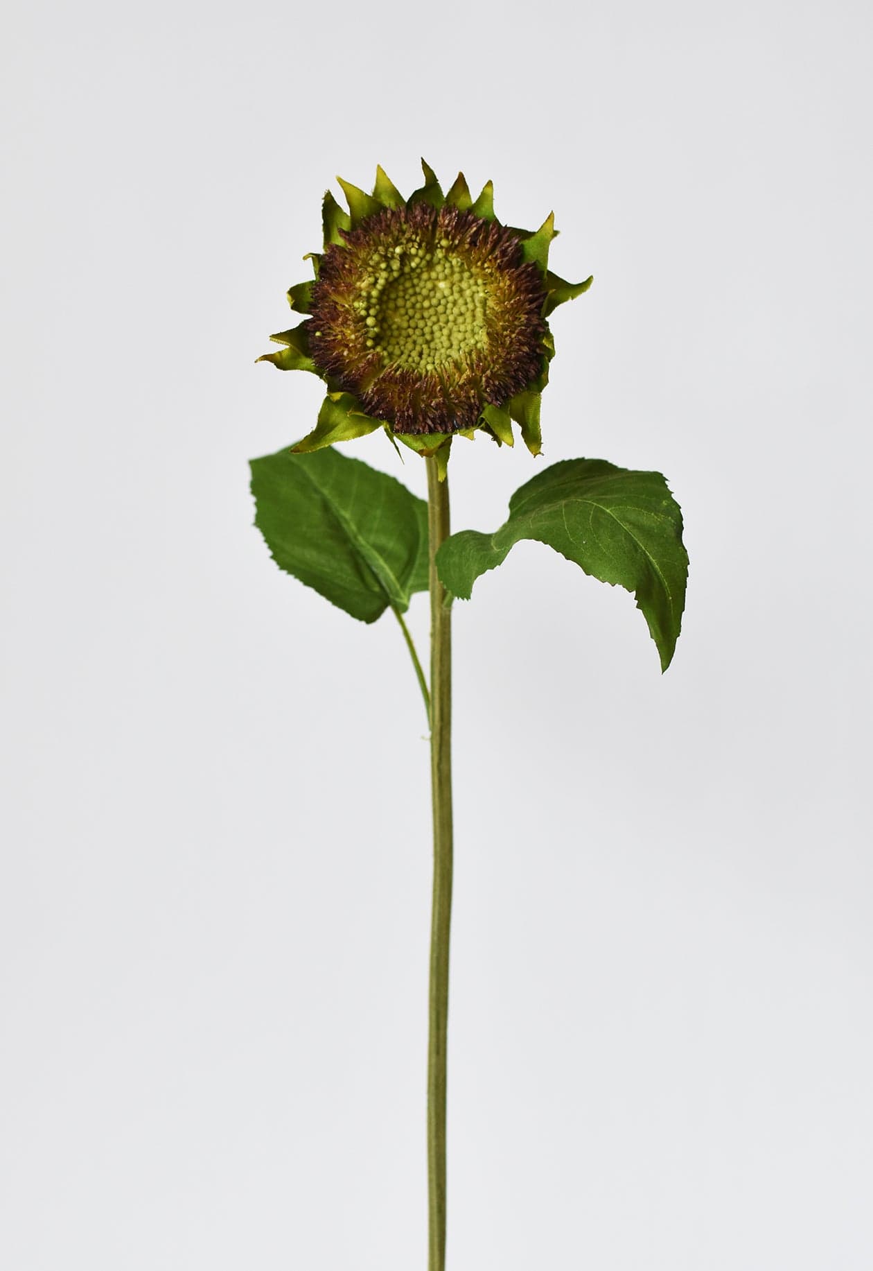 28" Aged Brown Sunflower Stem (Online exclusive)