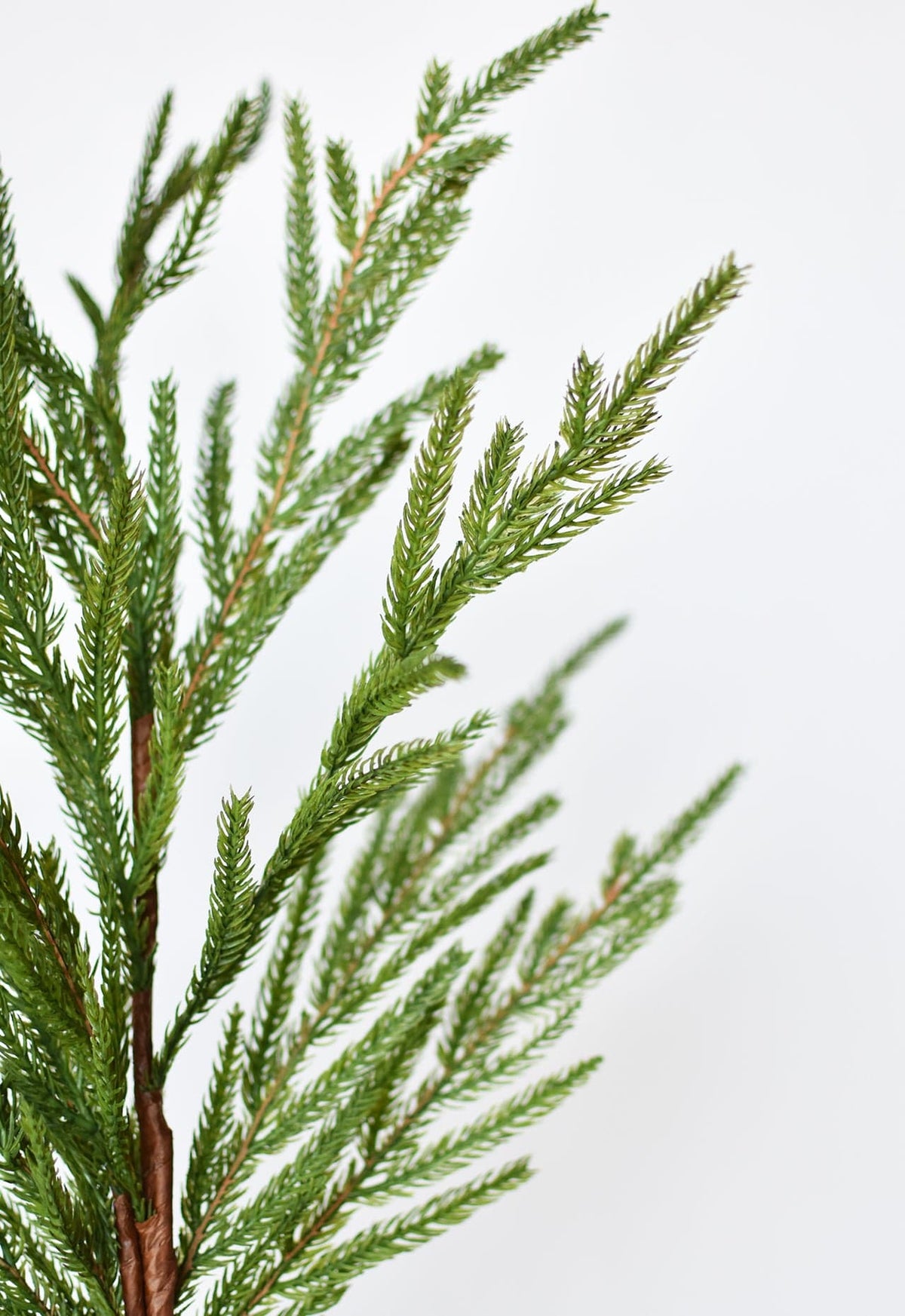 36" Faux Green Norfolk Pine - Cypress Spray Stem (Online exclusive)