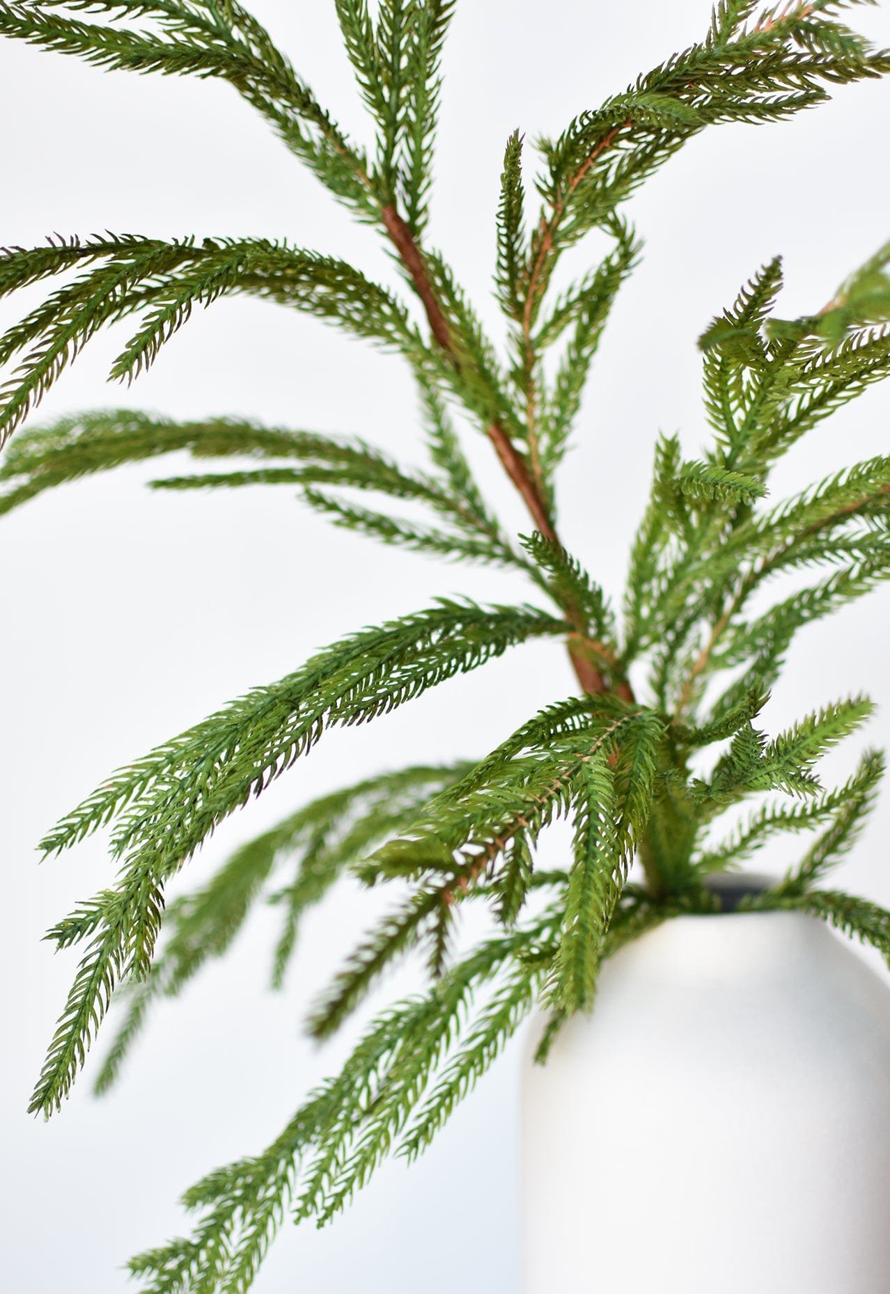 36" Faux Green Norfolk Pine - Cypress Spray Stem (Online exclusive)