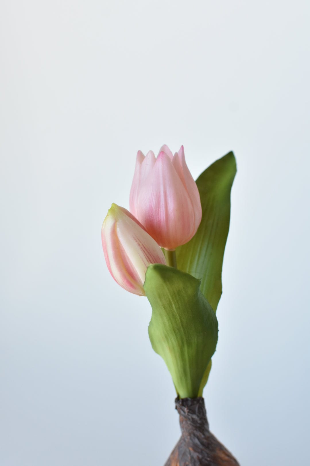 8" Faux Real Touch Soft Pink Tulips in Bulb w/pick (Online exclusive)