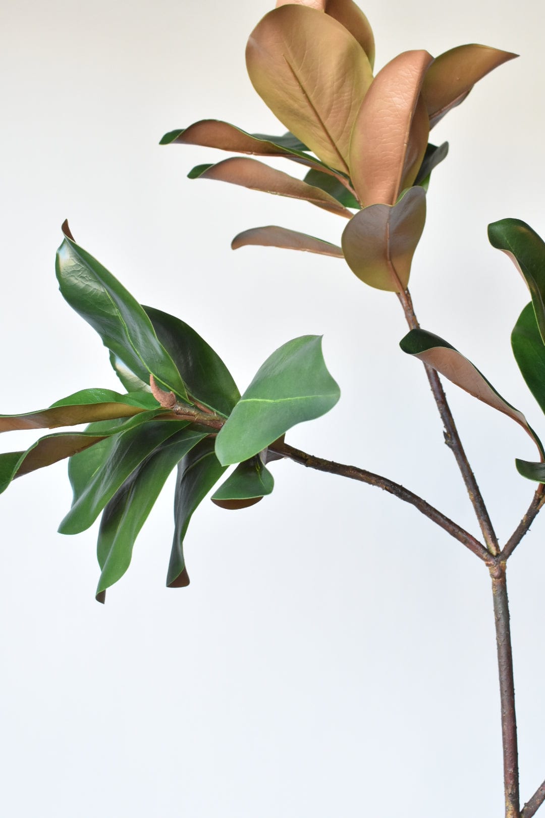 40" Faux Magnolia Leaf Branch (Online exclusive)