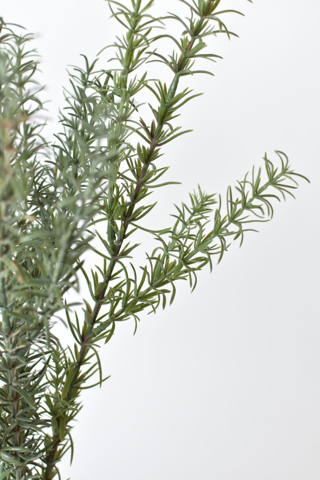 24" Faux Rosemary Bush (Online Exclusive)