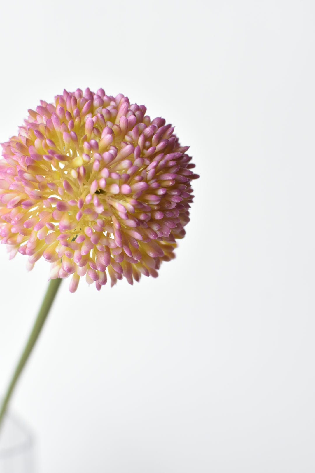 17.5" Faux Lavender Allium Stem (Online exclusive)