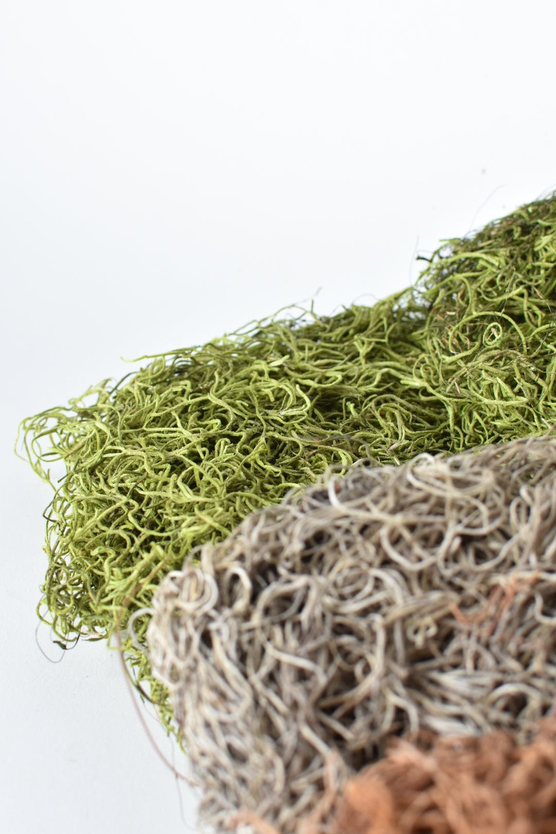 Spanish Moss: Green (Online exclusive)