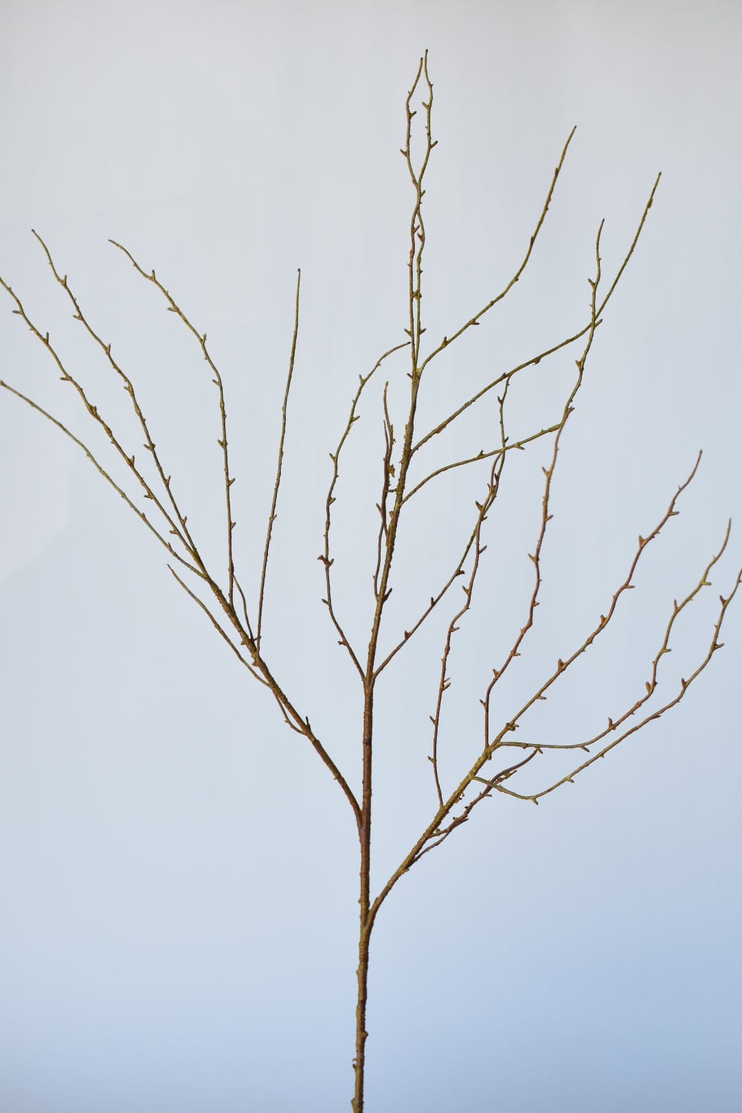 40" Faux Light Brown Twig Branch Stem (online exclusive)