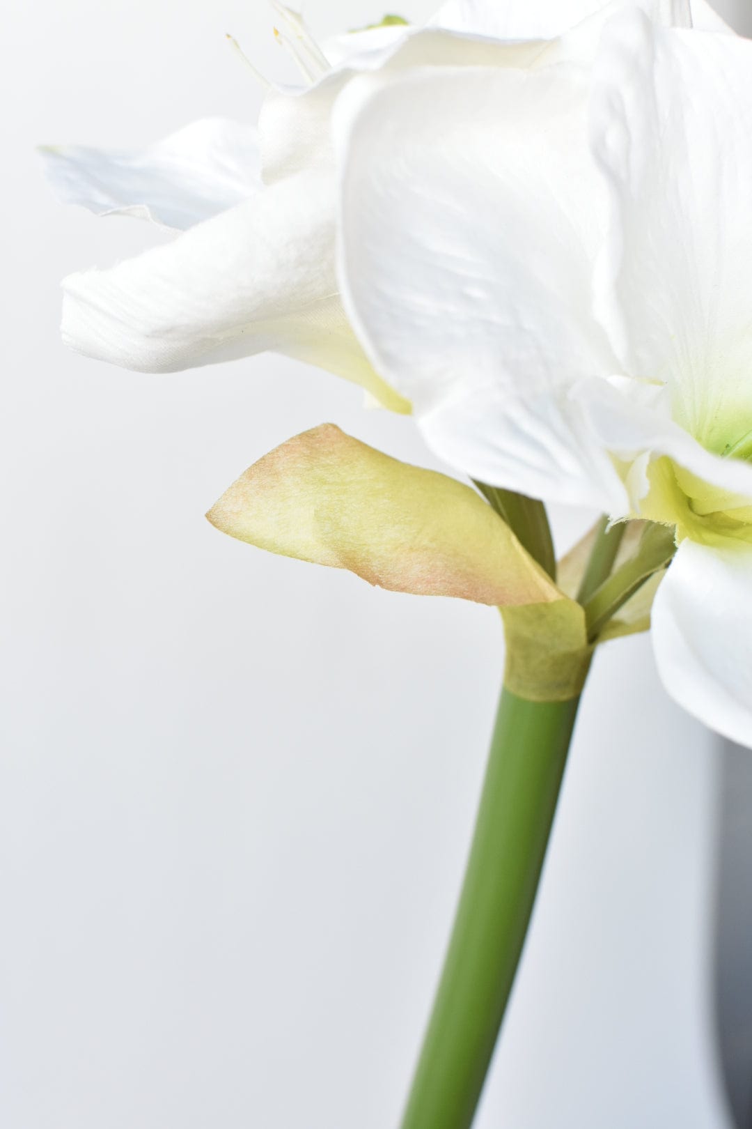 29" Faux White Amaryllis Stem (Online Exclusive)