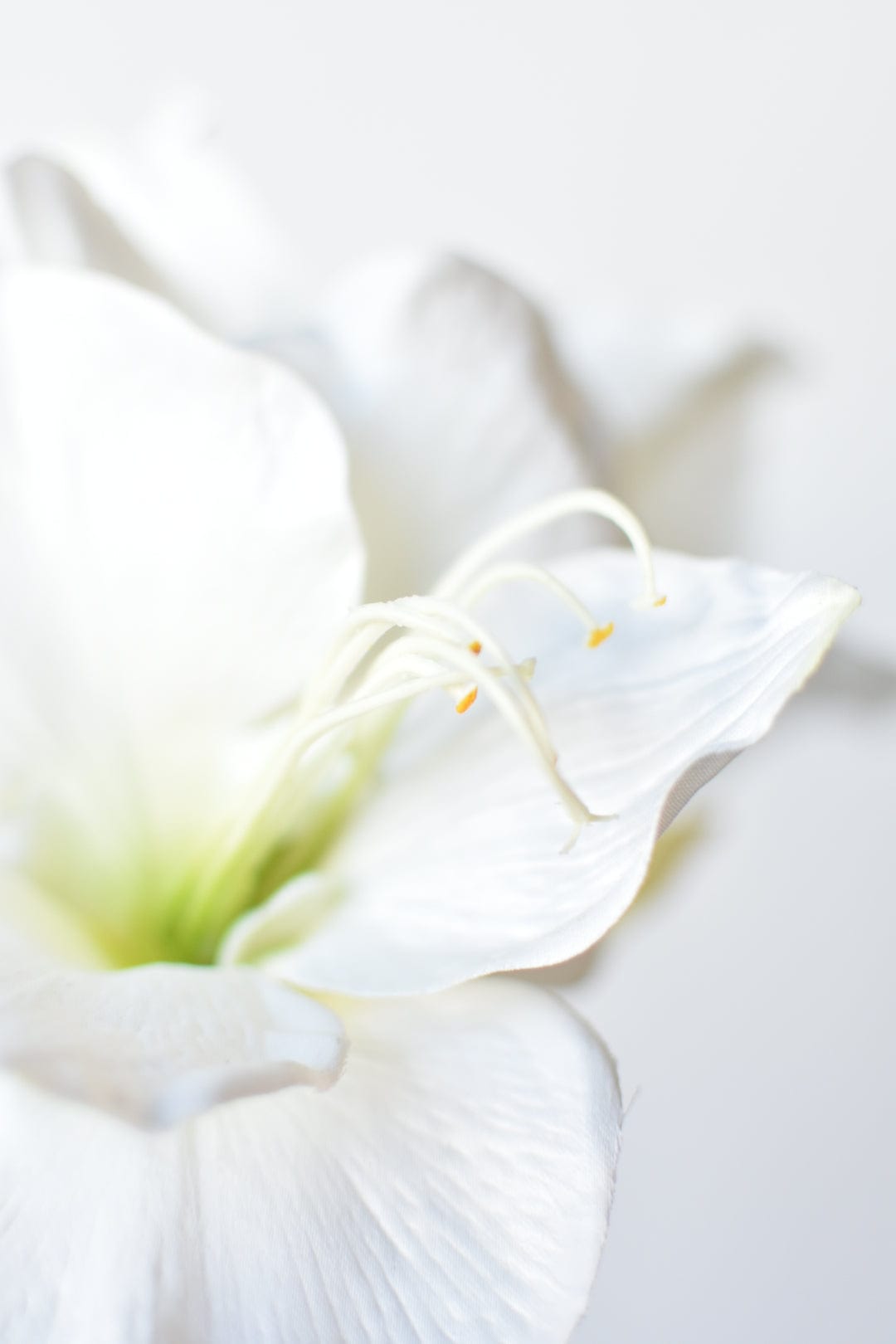 29" Faux White Amaryllis Stem (Online Exclusive)