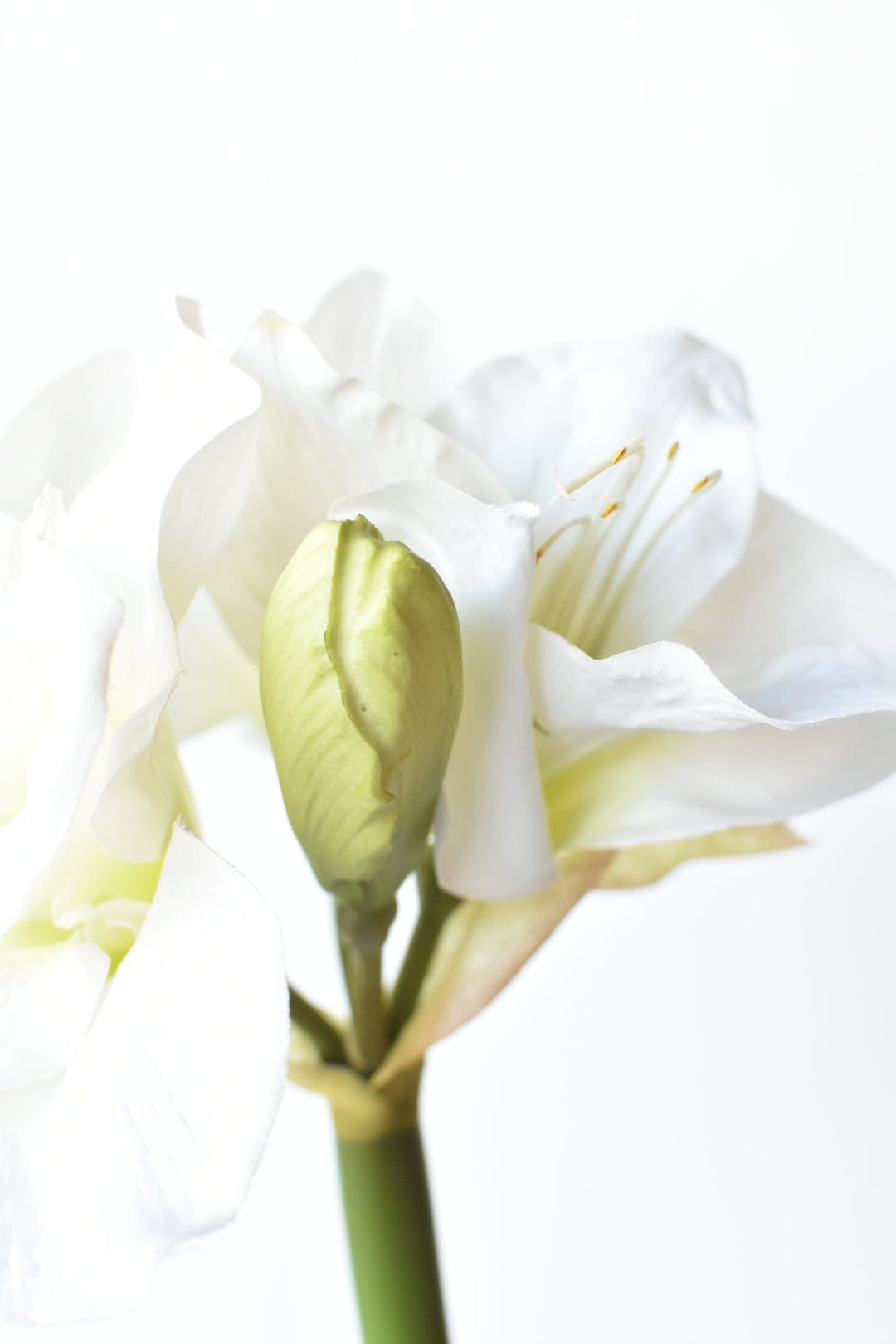 29" Faux White Amaryllis Stem (Online Exclusive)