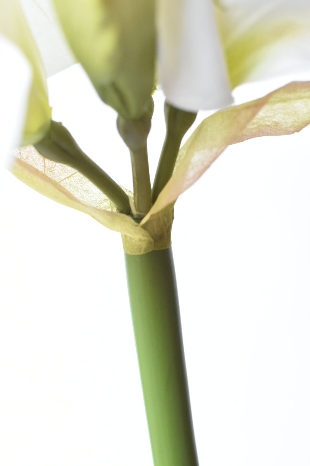 29" Faux White Amaryllis Stem (Online Exclusive)