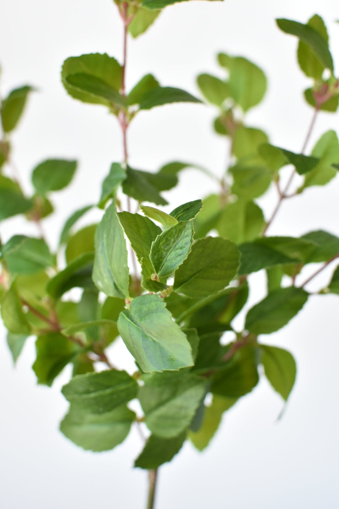 17" Faux Greenery Bush (Online Exclusive)