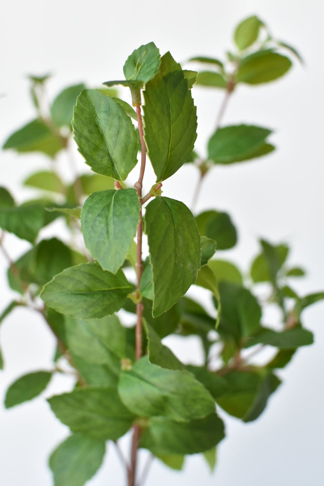 17" Faux Greenery Bush (Online Exclusive)