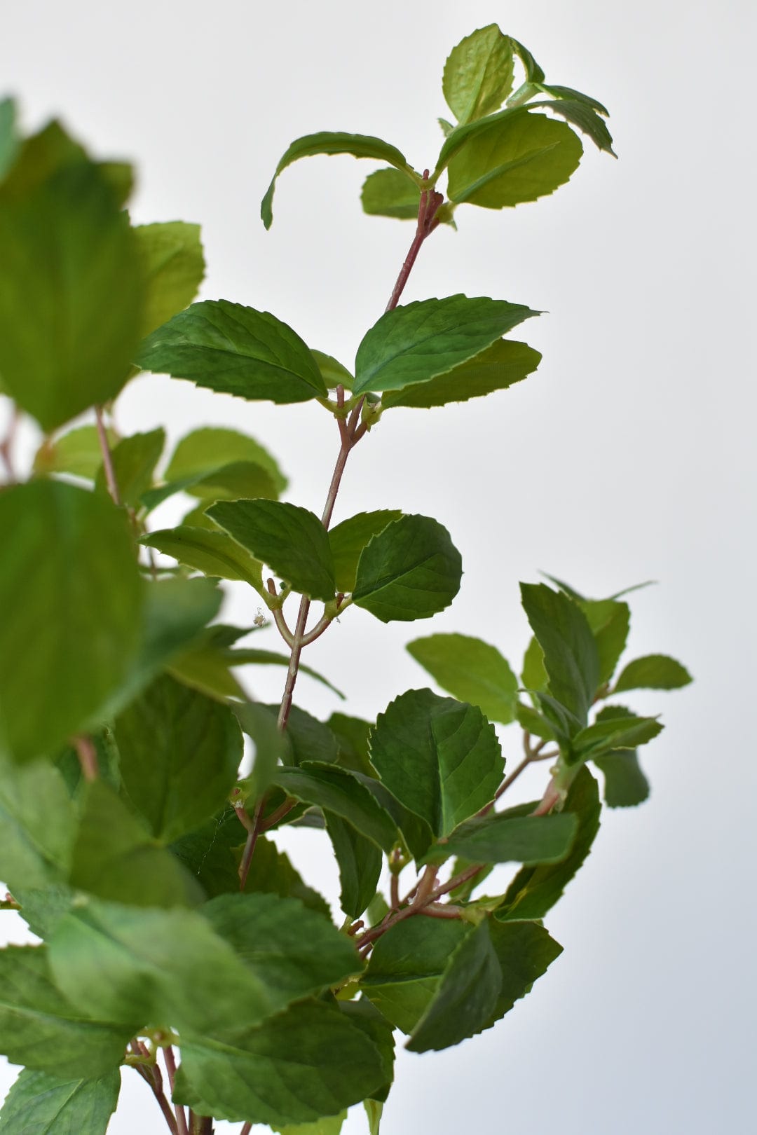 17" Faux Greenery Bush (Online Exclusive)