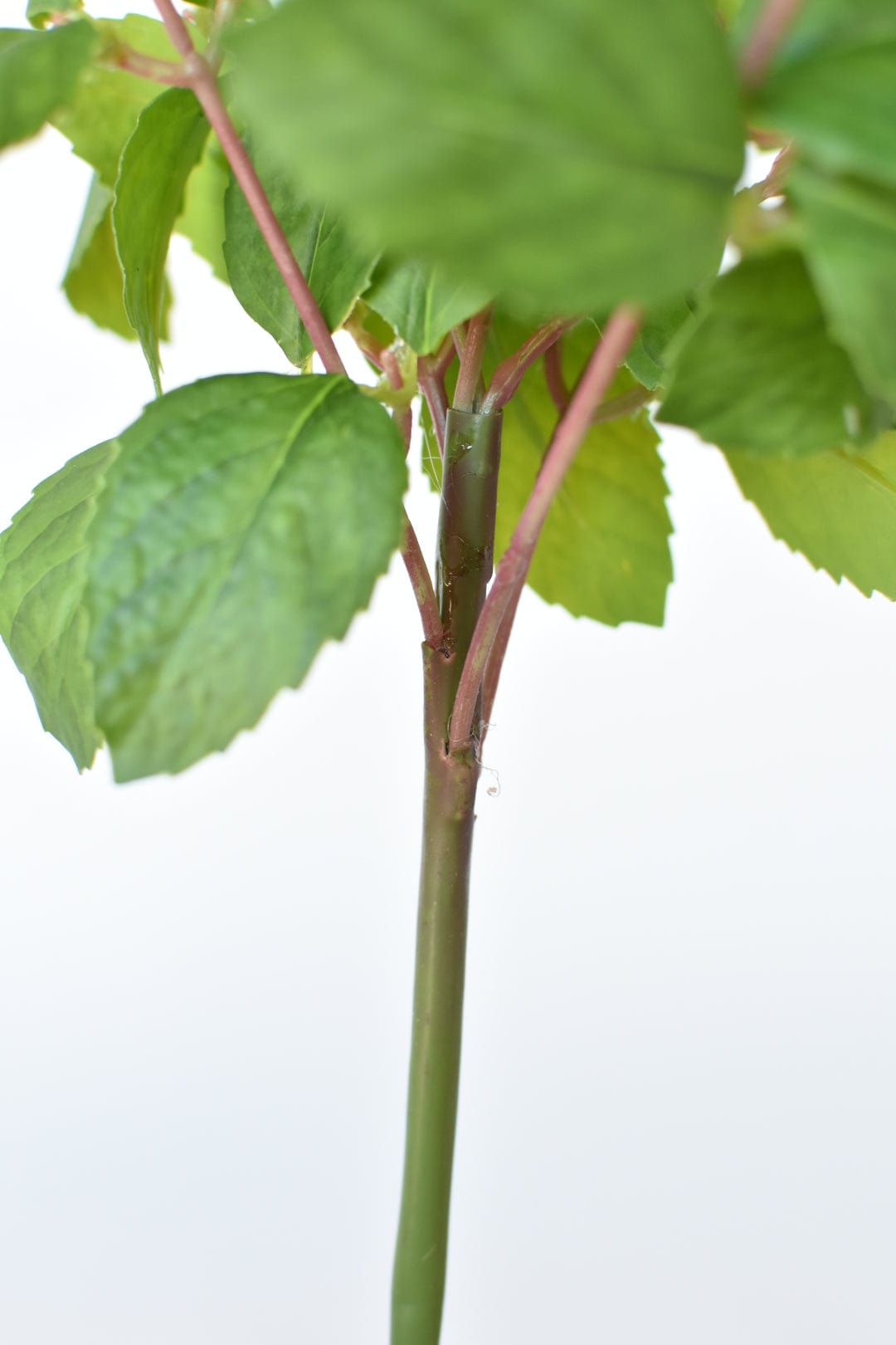 17" Faux Greenery Bush (Online Exclusive)
