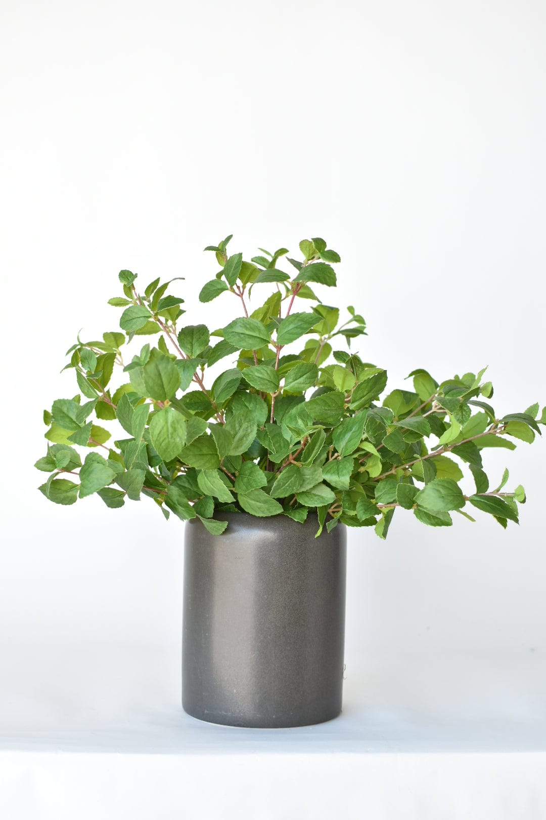 17" Faux Greenery Bush (Online Exclusive)