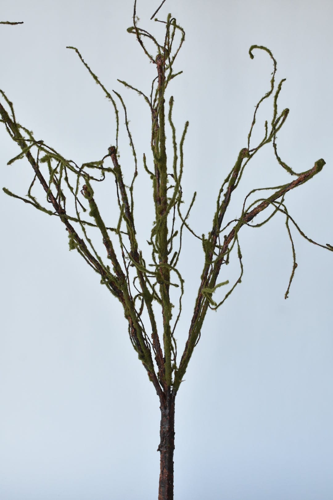 42" Faux Moss Tree Branch (Online Exclusive)