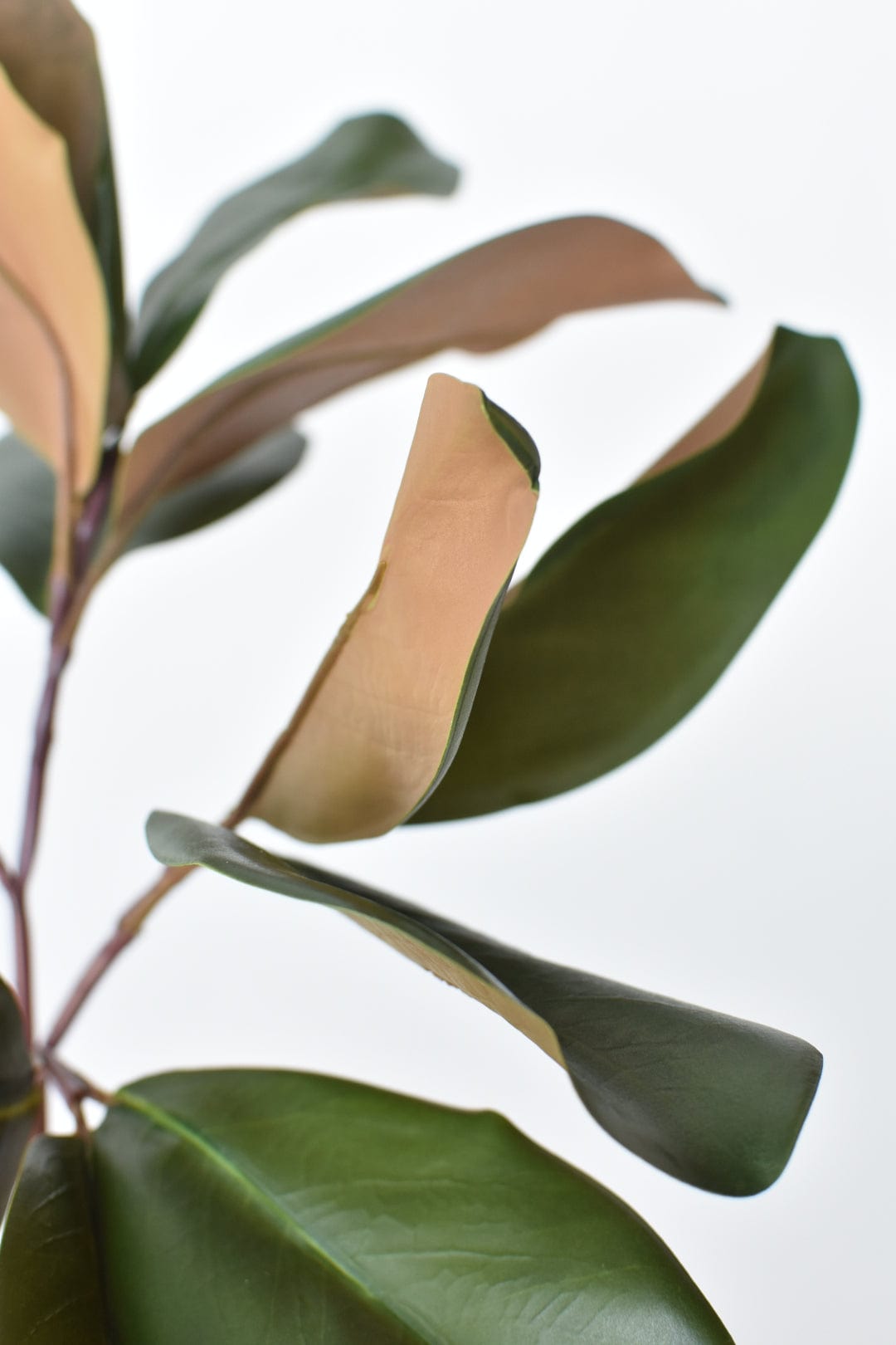 16.5" Faux Magnolia Leaf Stem (Online Exclusive)