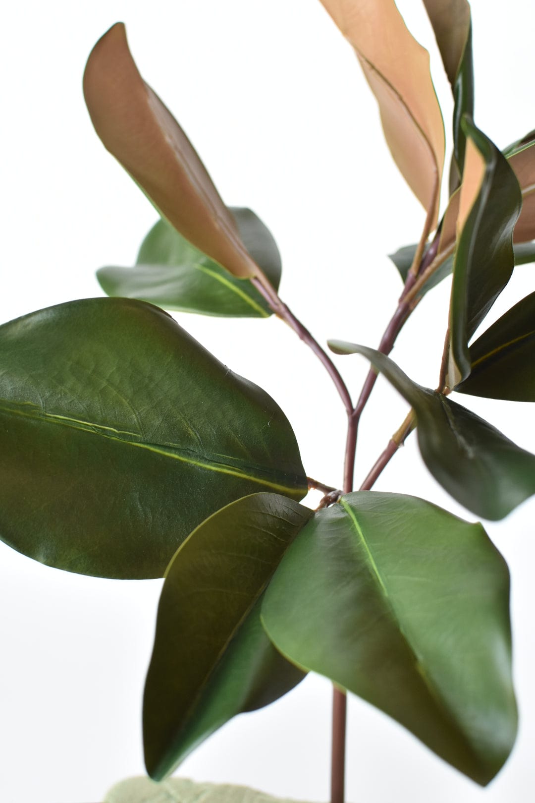 16.5" Faux Magnolia Leaf Stem (Online Exclusive)
