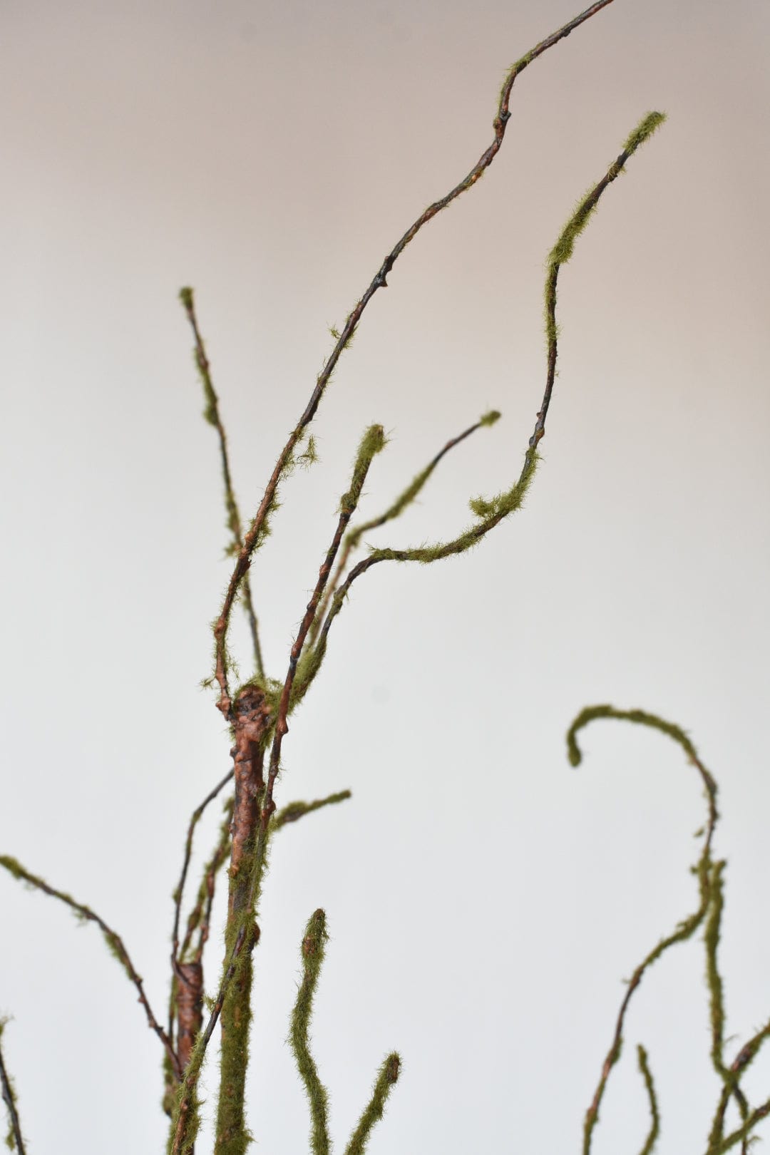 42" Faux Moss Tree Branch (Online Exclusive)