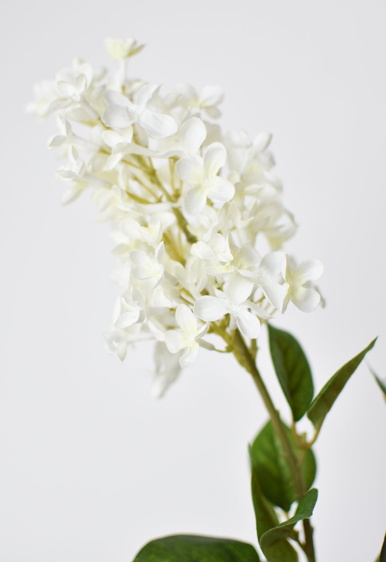 28.5" Faux White English Lilac Stem (Online exclusive)