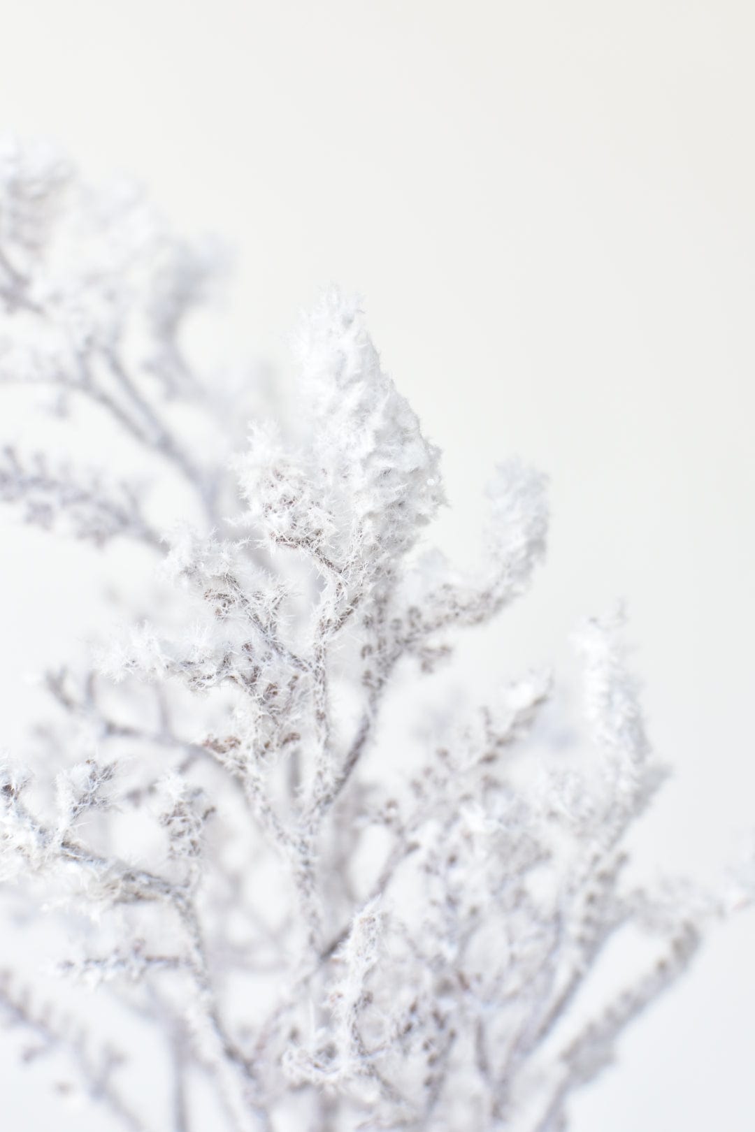29.5" Faux Flocked Twig Bundle (3 Stems) (Online Exclusive)