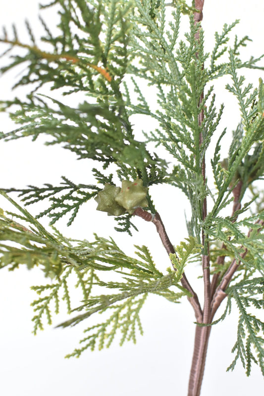 16" Faux Cedar with Pod Stem (Online Exclusive)