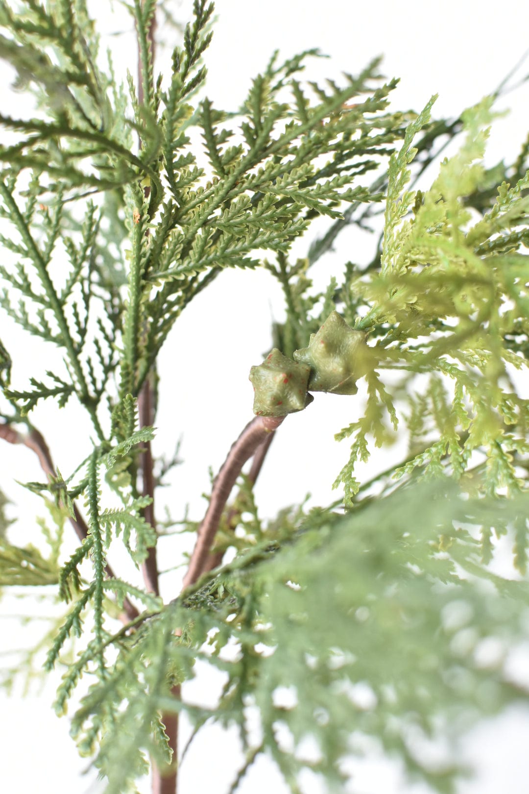 16" Faux Cedar with Pod Stem (Online Exclusive)