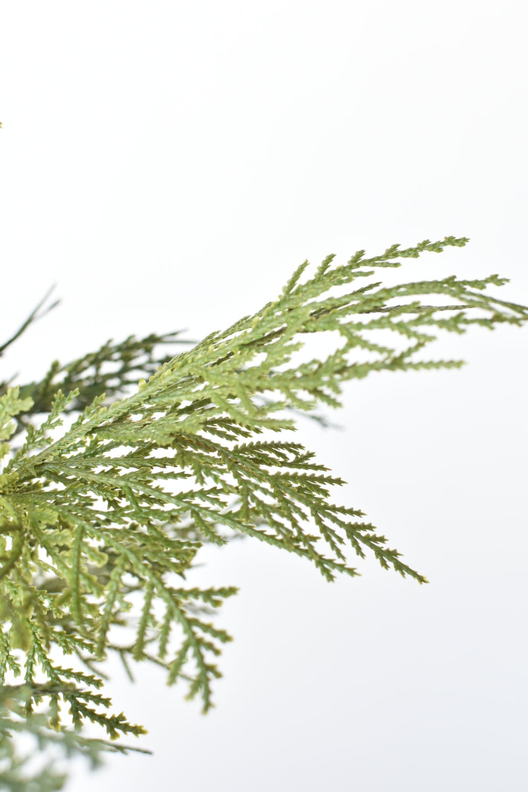 16" Faux Cedar with Pod Stem (Online Exclusive)