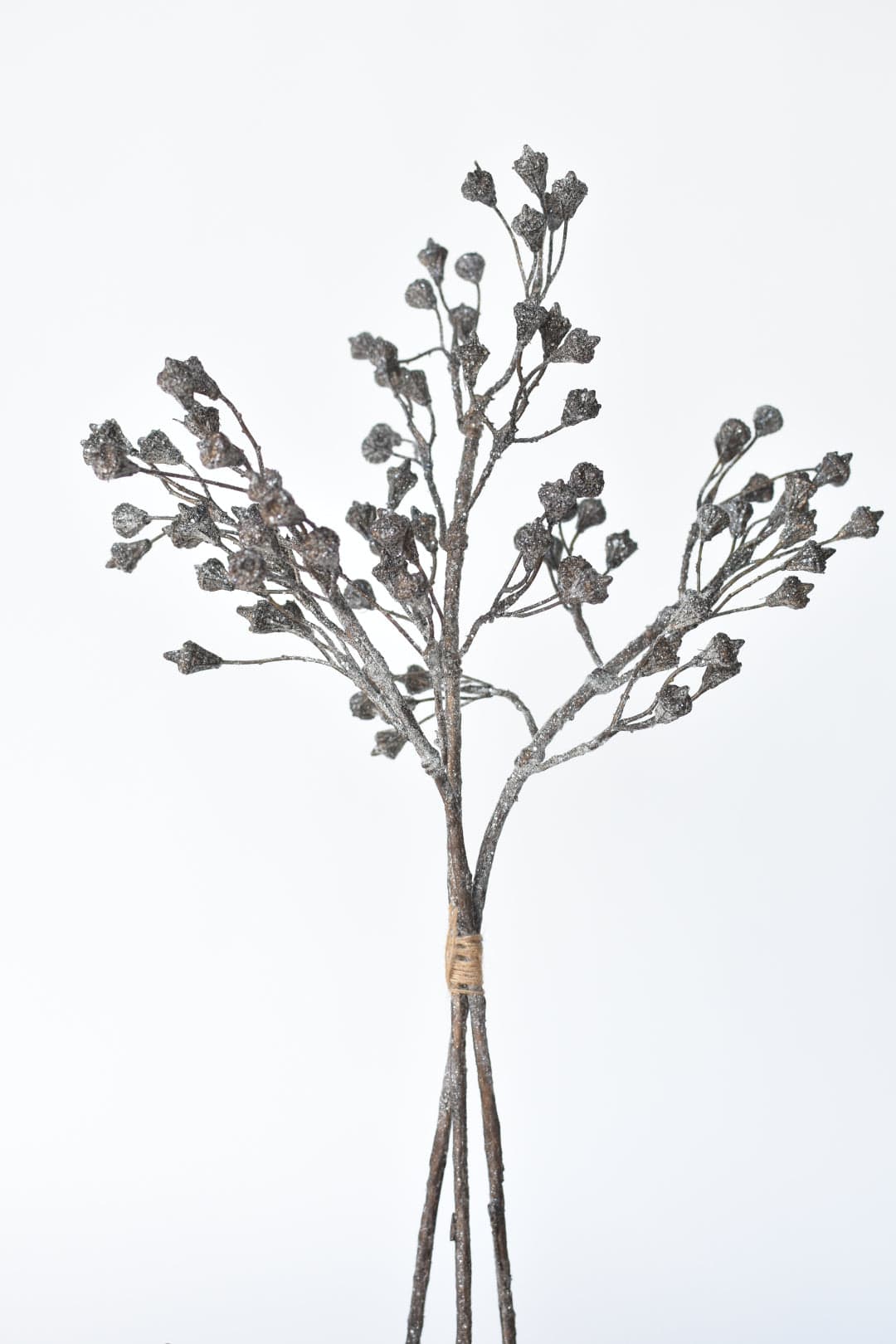 21" Faux Ice Glittered Twig with Pod Bundle (3 Stems) (Online Exclusive)