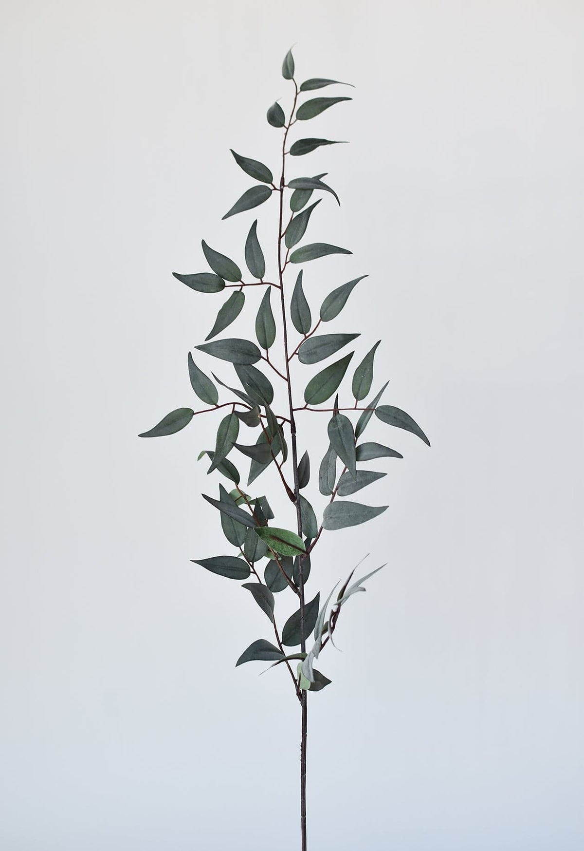 36" Faux Dark Green/Gray Ruscus Leaf Stem (Online exclusive)
