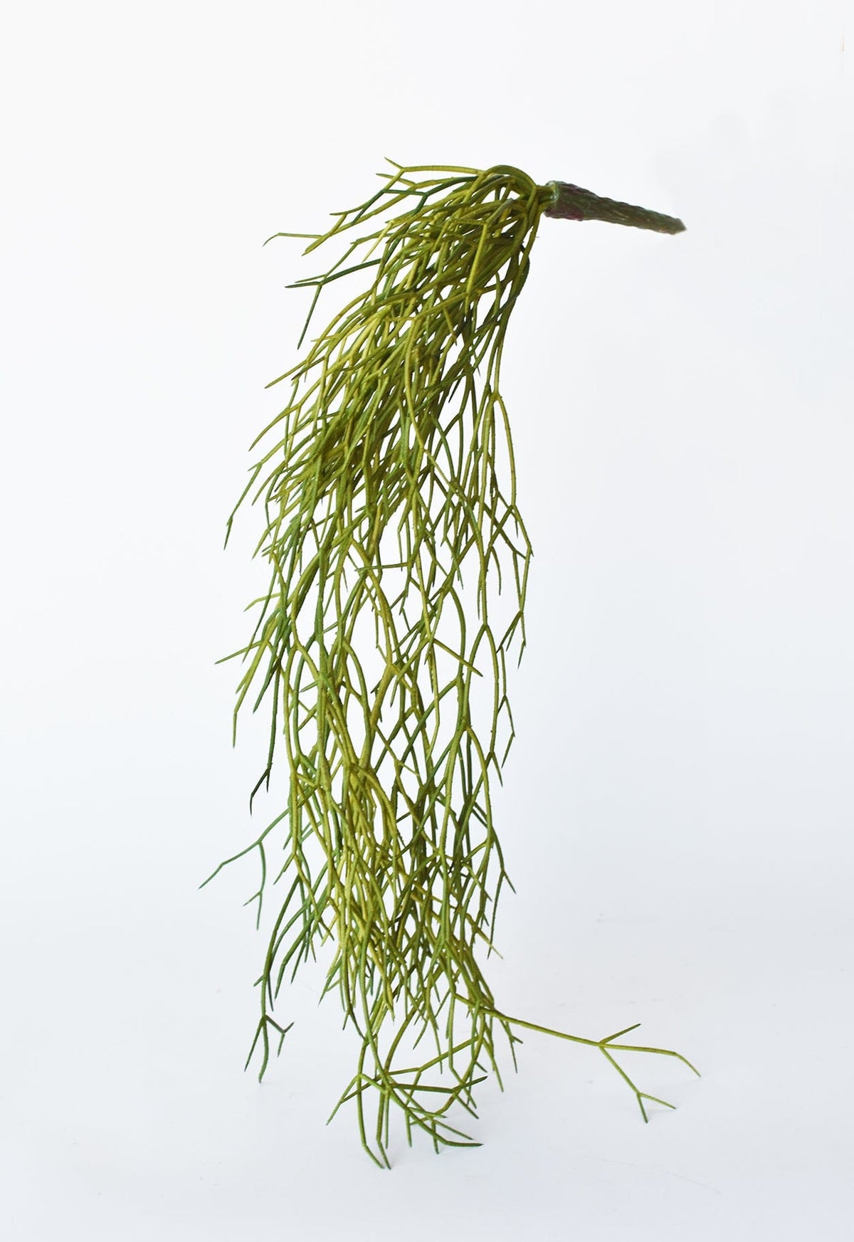 24" Faux Pencil Cactus Hanging Succulent Bush (Online exclusive)