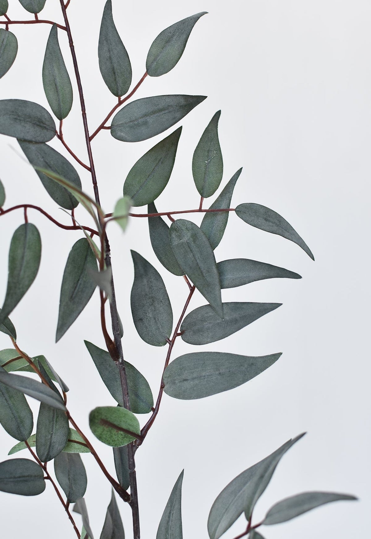 36" Faux Dark Green/Gray Ruscus Leaf Stem (Online exclusive)