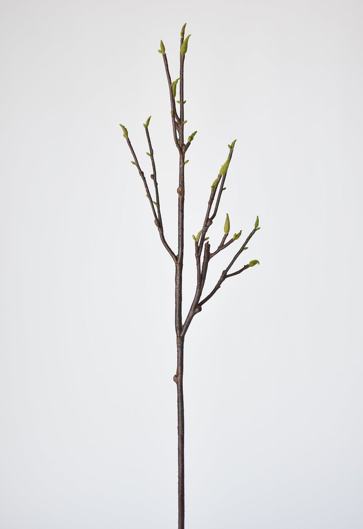 36" Faux Magnolia Tree Branch Stem (Online exclusive)