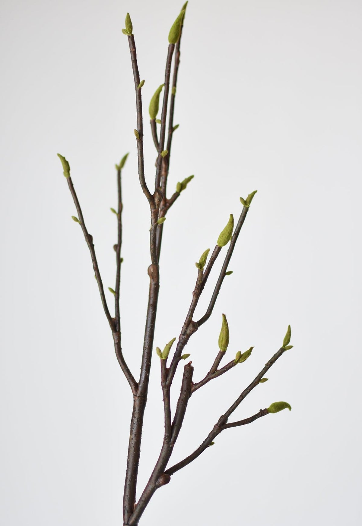 36" Faux Magnolia Tree Branch Stem (Online exclusive)