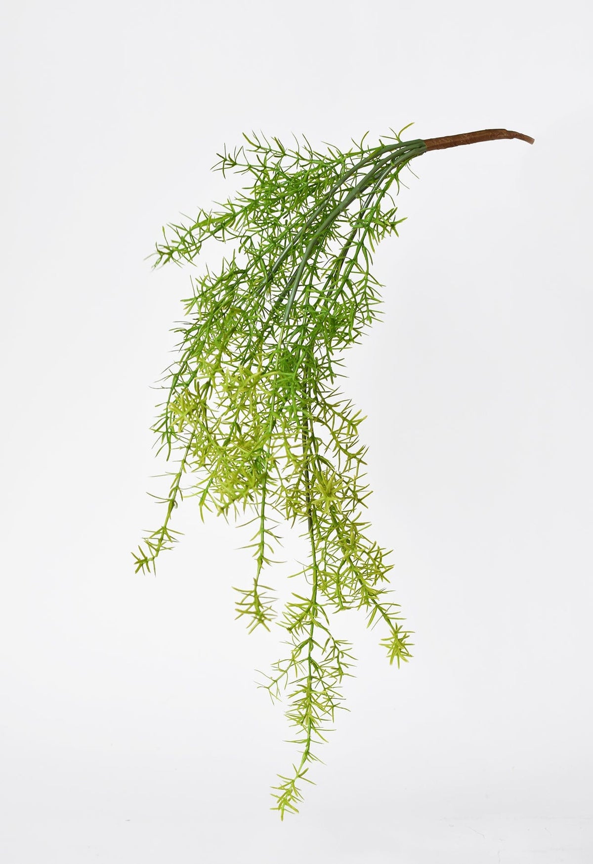 26" Faux Soft Asparagus Fern Sprengeri Bush (Online exclusive)