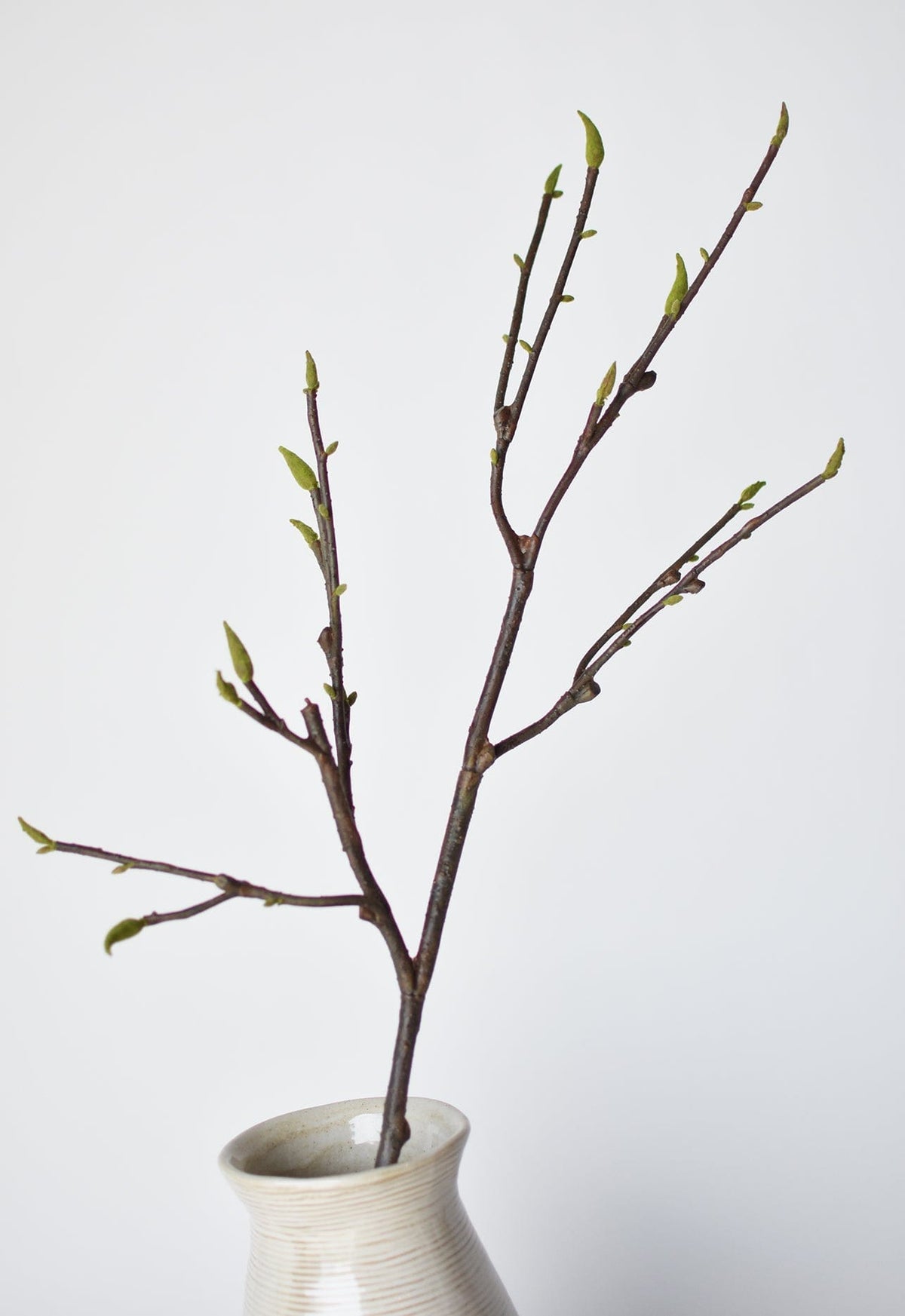 36" Faux Magnolia Tree Branch Stem (Online exclusive)