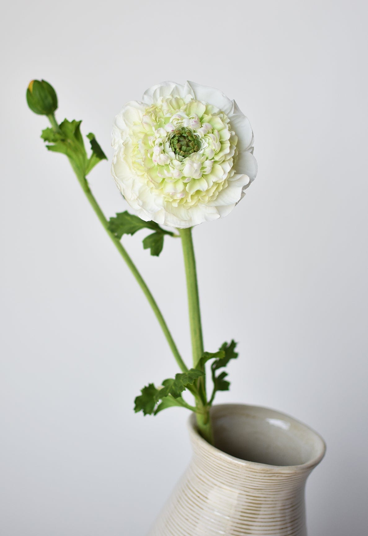 21" Faux Double Ruffled Ranunculus Stem White (Online exclusive)