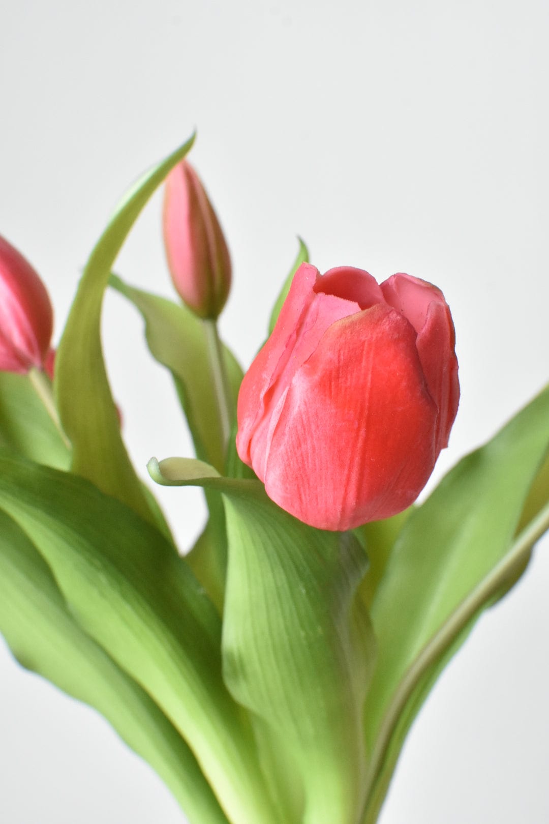 11.75" Faux Real Touch Dark Pink Tulip Stem Bundle (Online Exclusive)