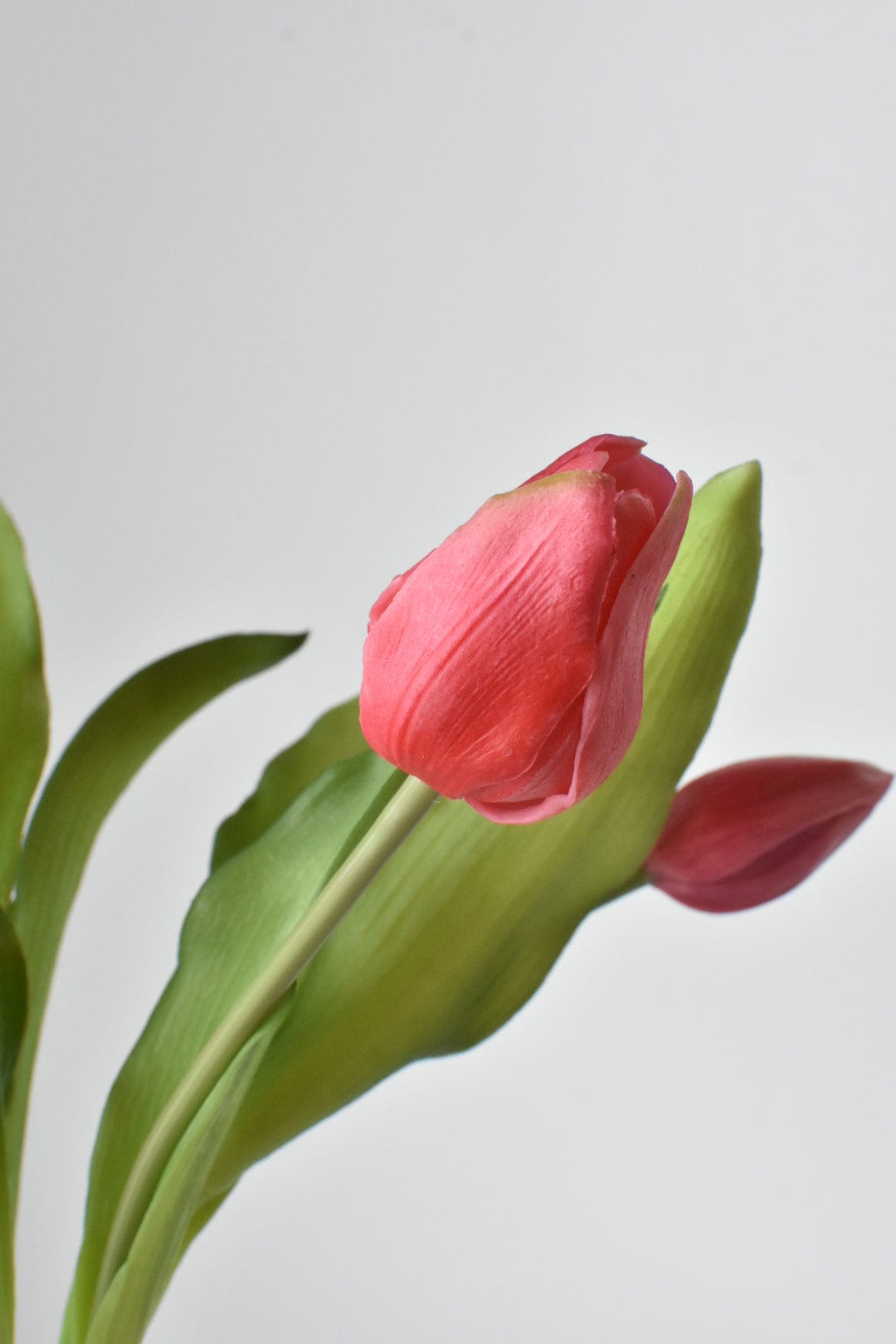 11.75" Faux Real Touch Dark Pink Tulip Stem Bundle (Online Exclusive)