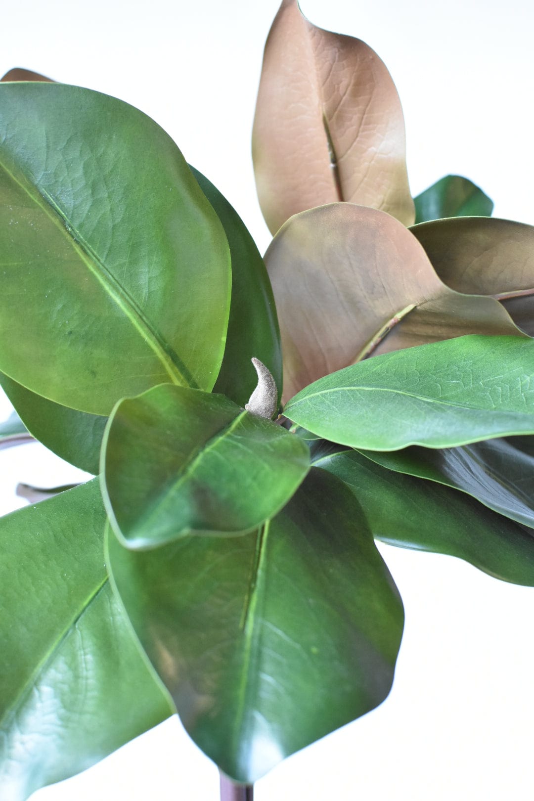 18" Faux Magnolia Leaf Bundle (Online exclusive)