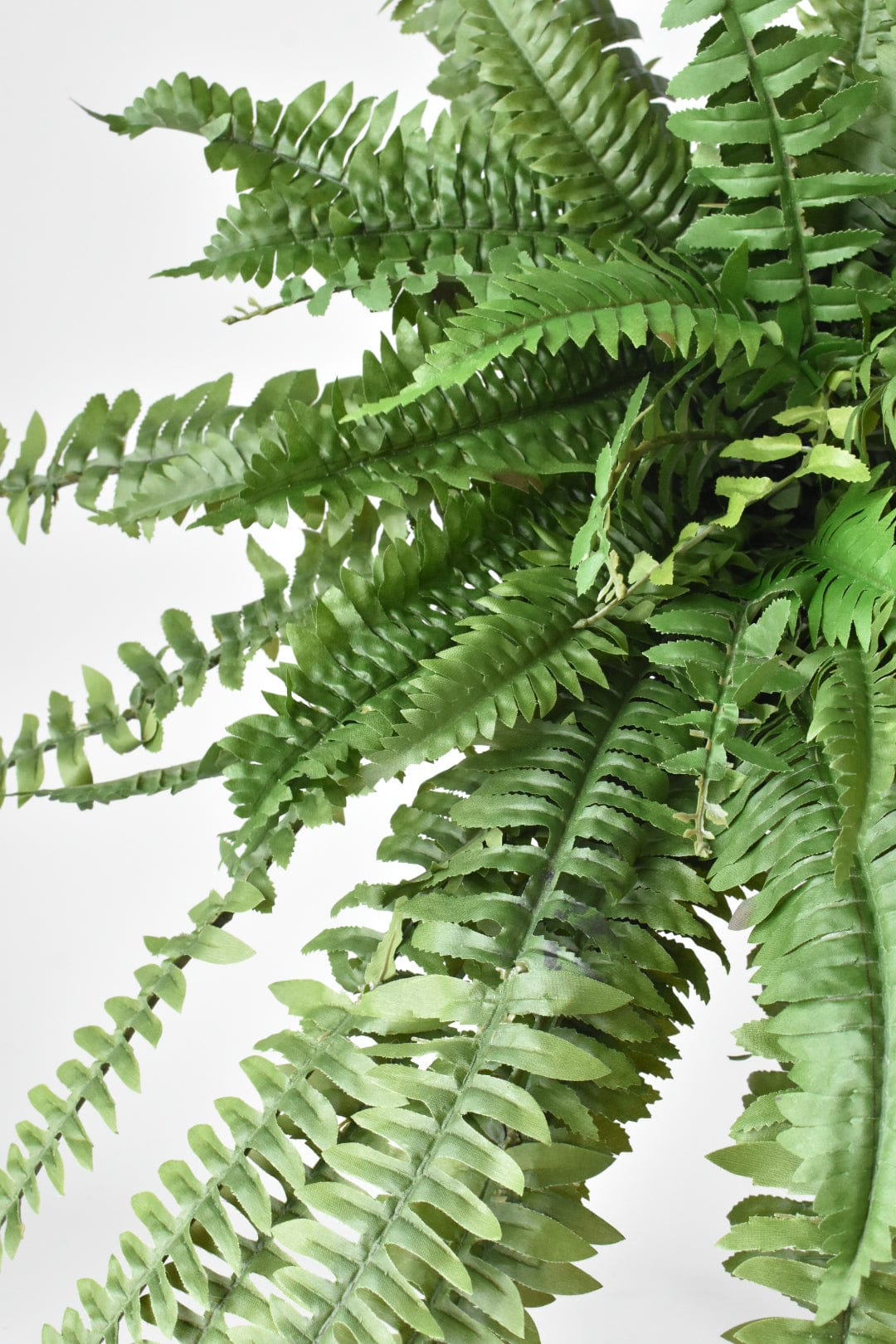 28" Large Faux Boston Fern Bush (Online Exclusive)