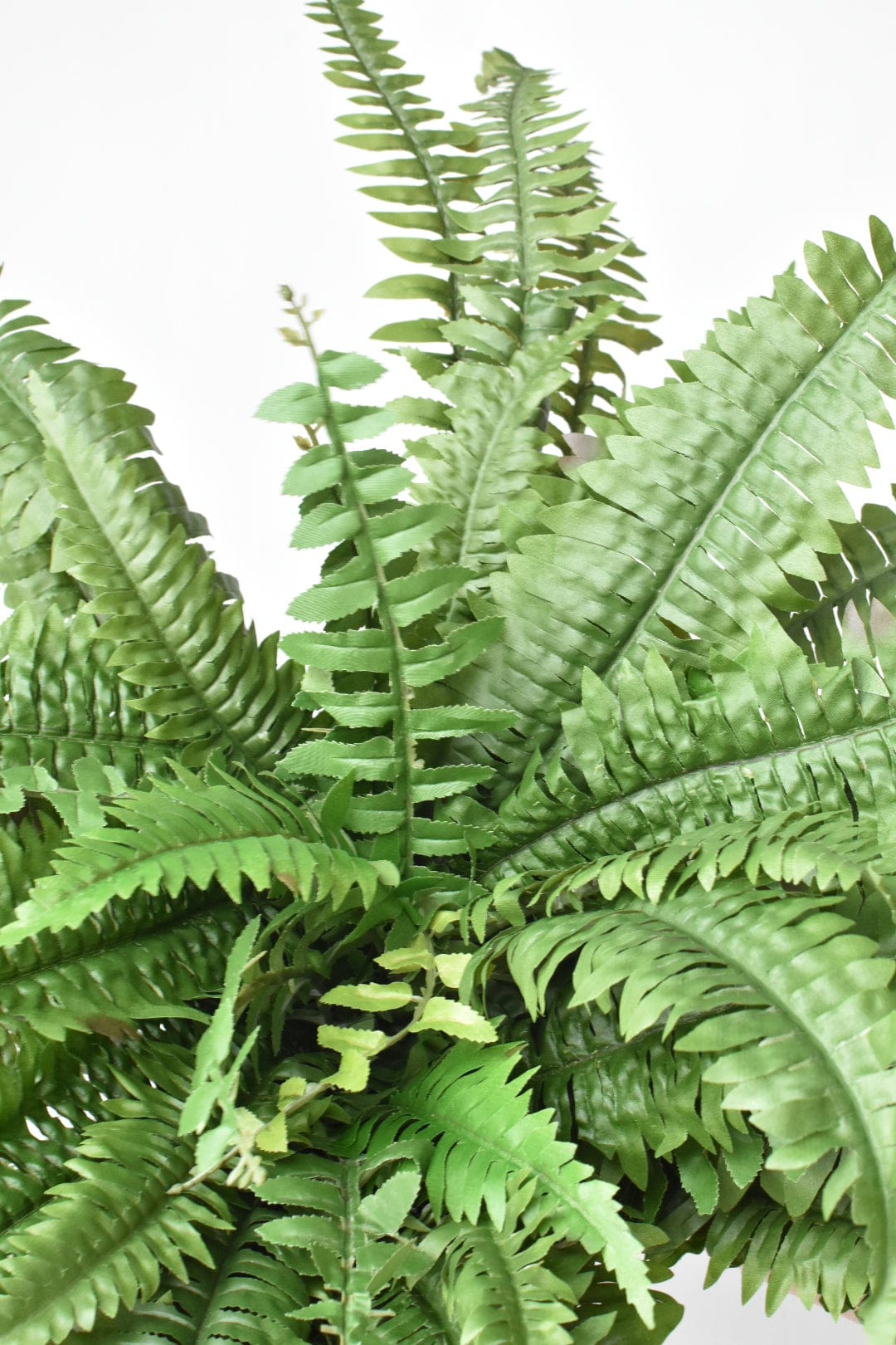 28" Large Faux Boston Fern Bush (Online Exclusive)