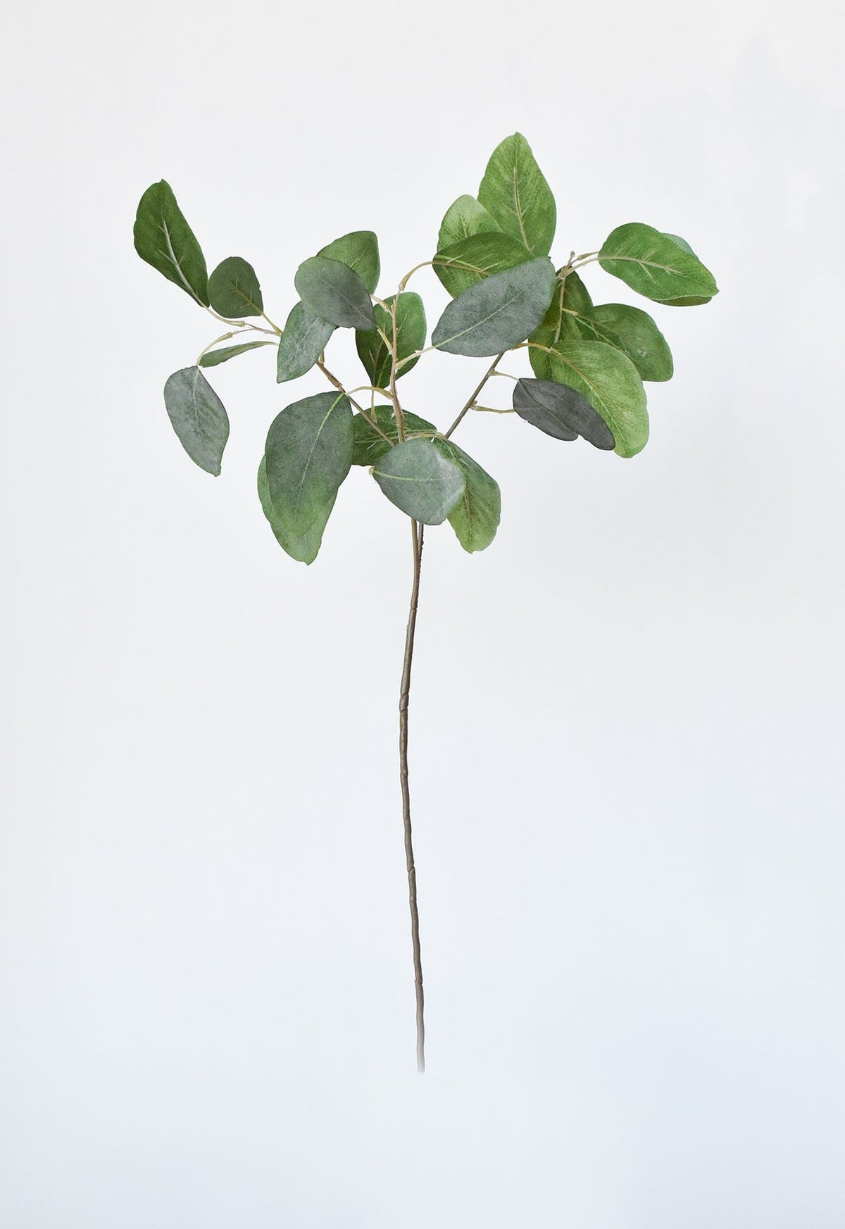 24" Faux Eucalyptus Leaf Stem (Online exclusive)