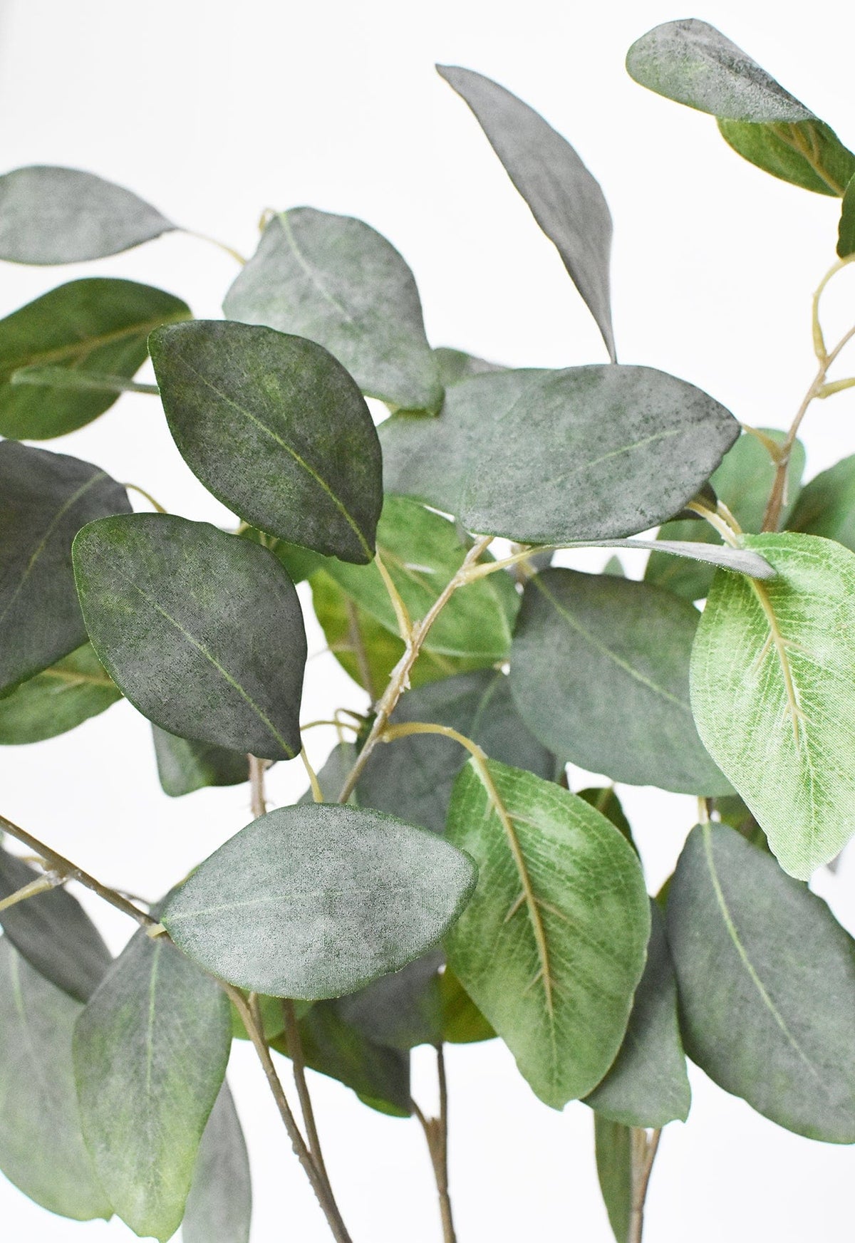 24" Faux Eucalyptus Leaf Stem (Online exclusive)