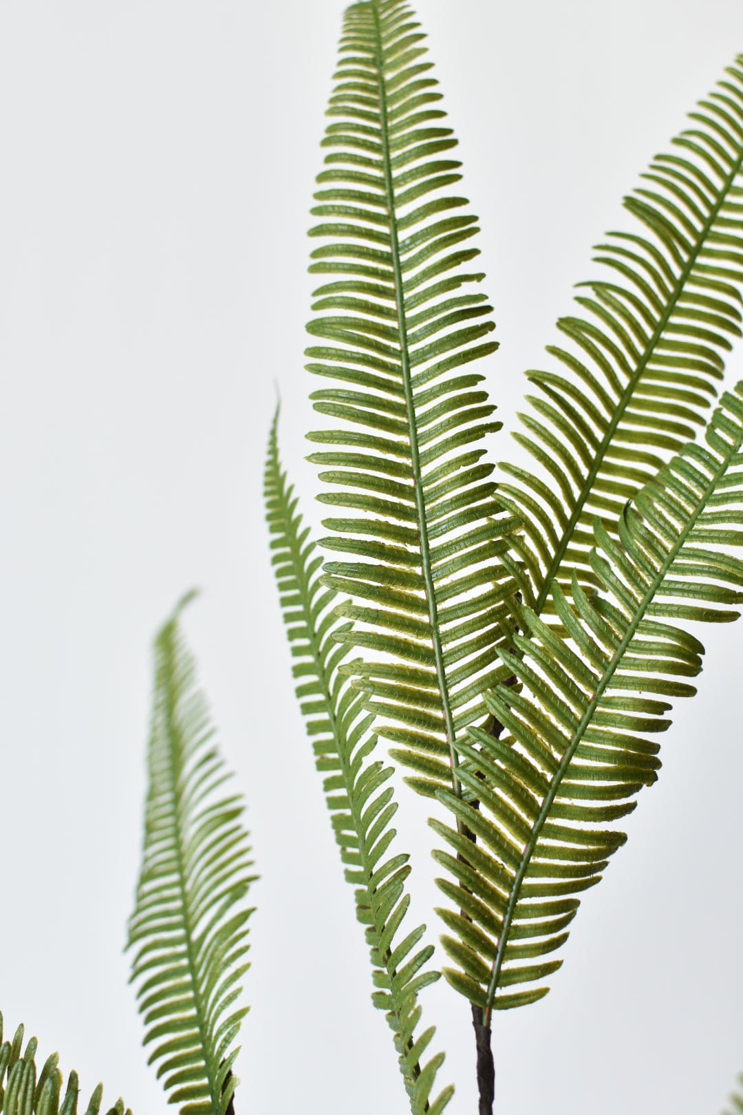 29" Faux Flat Fern Stem (online exclusive)