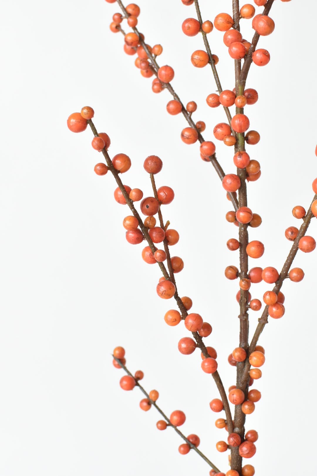 43" Faux Outdoor Orange Berry Stem (Online Exclusive)